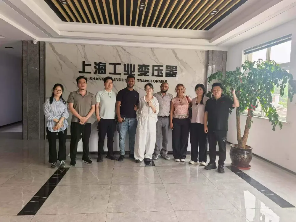 ยินดีต้อนรับอย่างอบอุ่น! คณะผู้แทนเอธิโอเปียเยี่ยมชม Shanghai Industrial Transformer Co., Ltd. เพื่อแลกเปลี่ยนหม้อแปลงและอุปกรณ์จำหน่ายไฟฟ้า